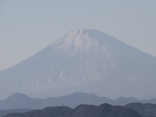 記事に関連する写真